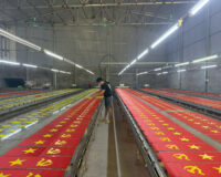 Cờ Dây Sao Đảng Thiết Kế Riêng – Xưởng May Cờ Hoàng Gia Uy Tín, Chất Lượng Cao